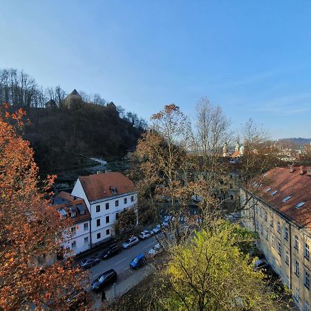 Bossa Nova Castle&Outstanding Home With Garage Любляна Экстерьер фото