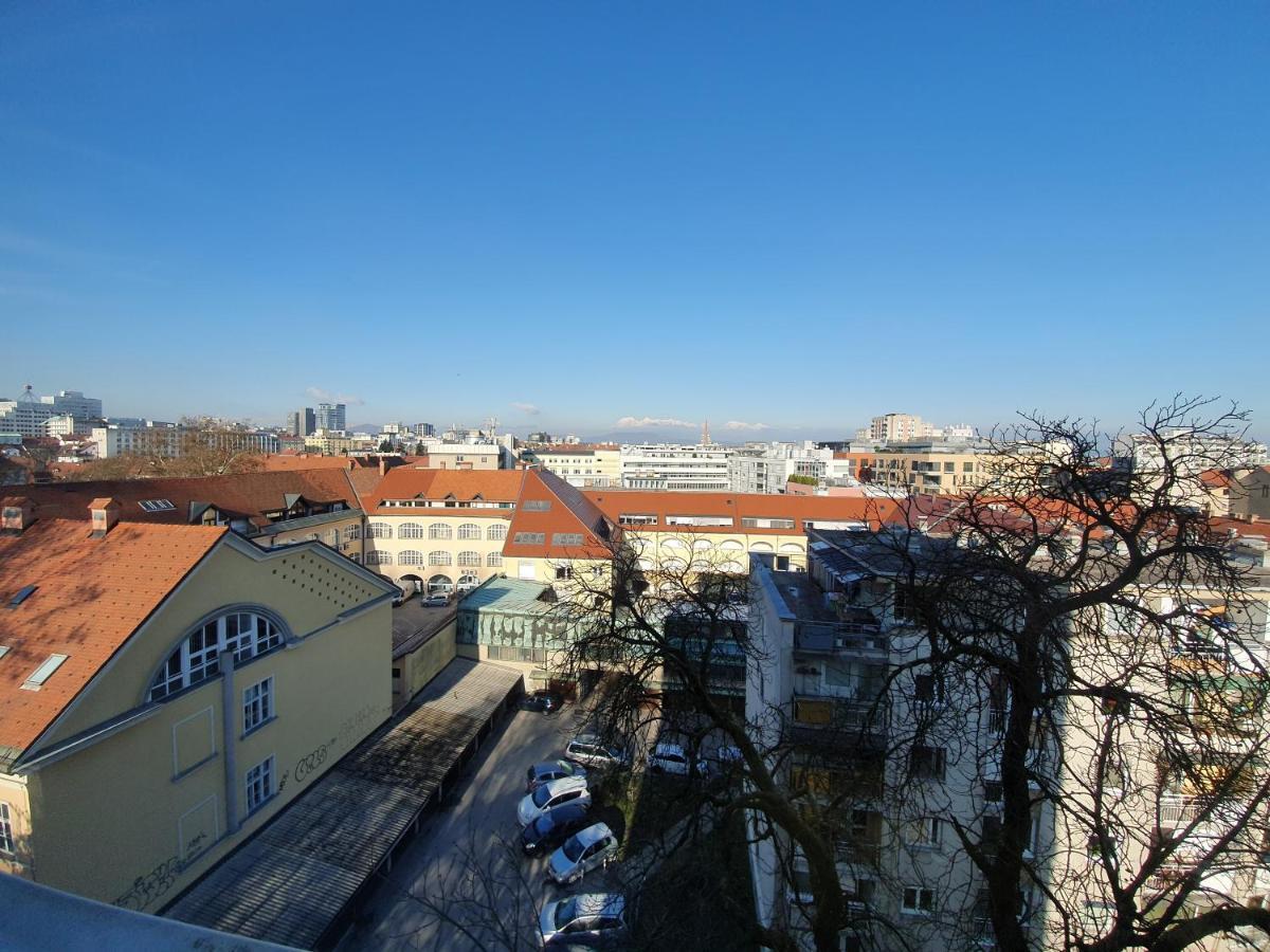 Bossa Nova Castle&Outstanding Home With Garage Любляна Экстерьер фото