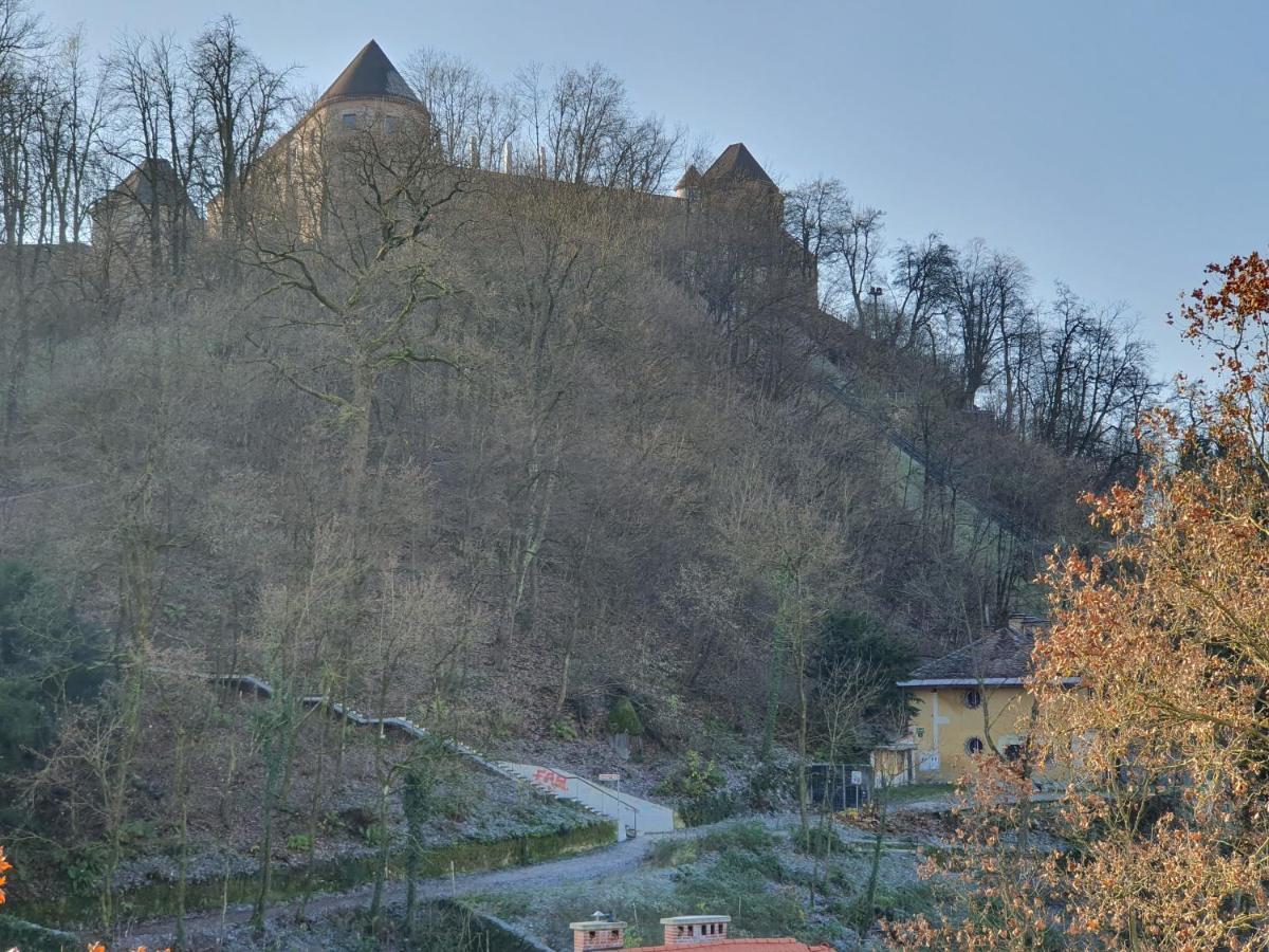 Bossa Nova Castle&Outstanding Home With Garage Любляна Экстерьер фото